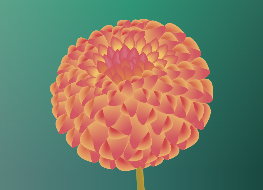 digital illustration of orange and pink dahlia flower